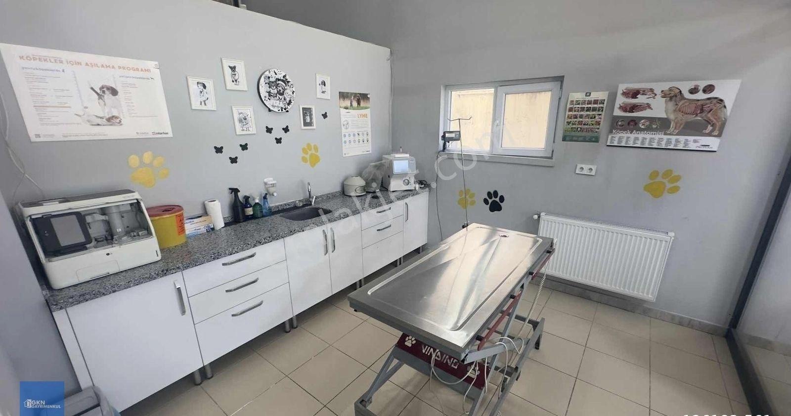 Şemsettın Günaltay Cadde Üzeri Kiracılı - Görsel 3