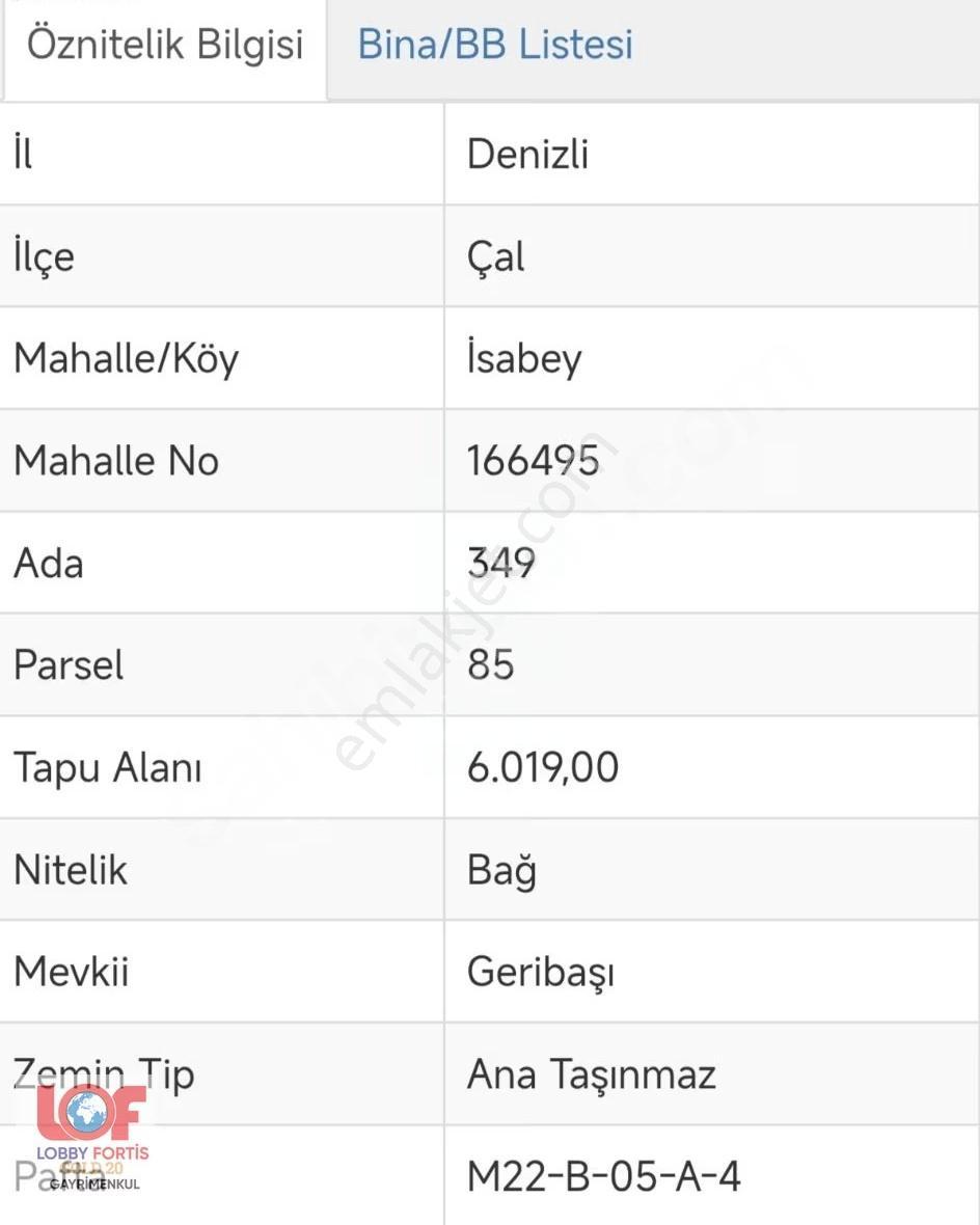Lobby Fortis'ten Çal İsabey'de Satılık 6.019 M2 Bağ - Görsel 11