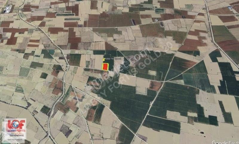 Lobby Fortis'ten Çal İsabey'de Satılık 6.019 M2 Bağ - Görsel 4