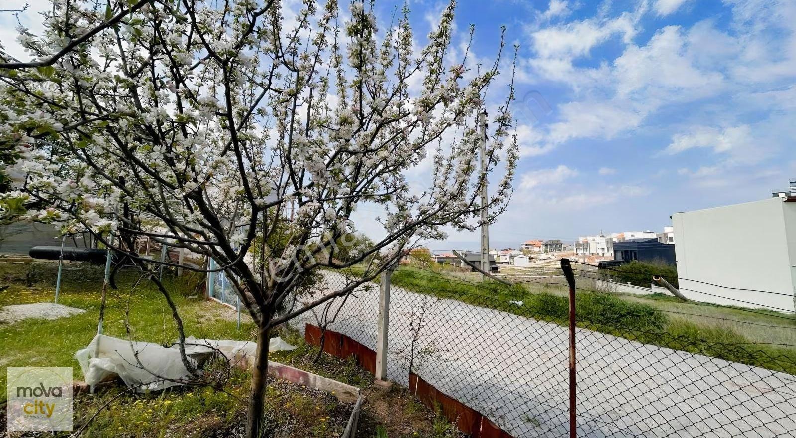 Binevler Ayarık Mevkisinde 245 M2 Satılık Villa Arsası - Görsel 12