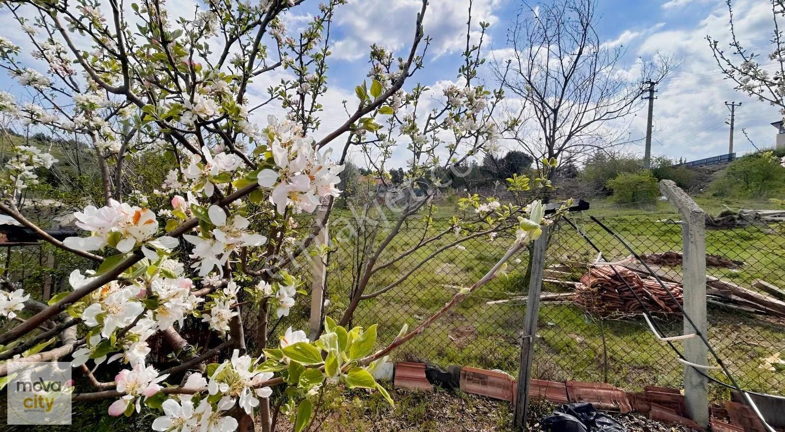Binevler Ayarık Mevkisinde 245 M2 Satılık Villa Arsası - Görsel 19