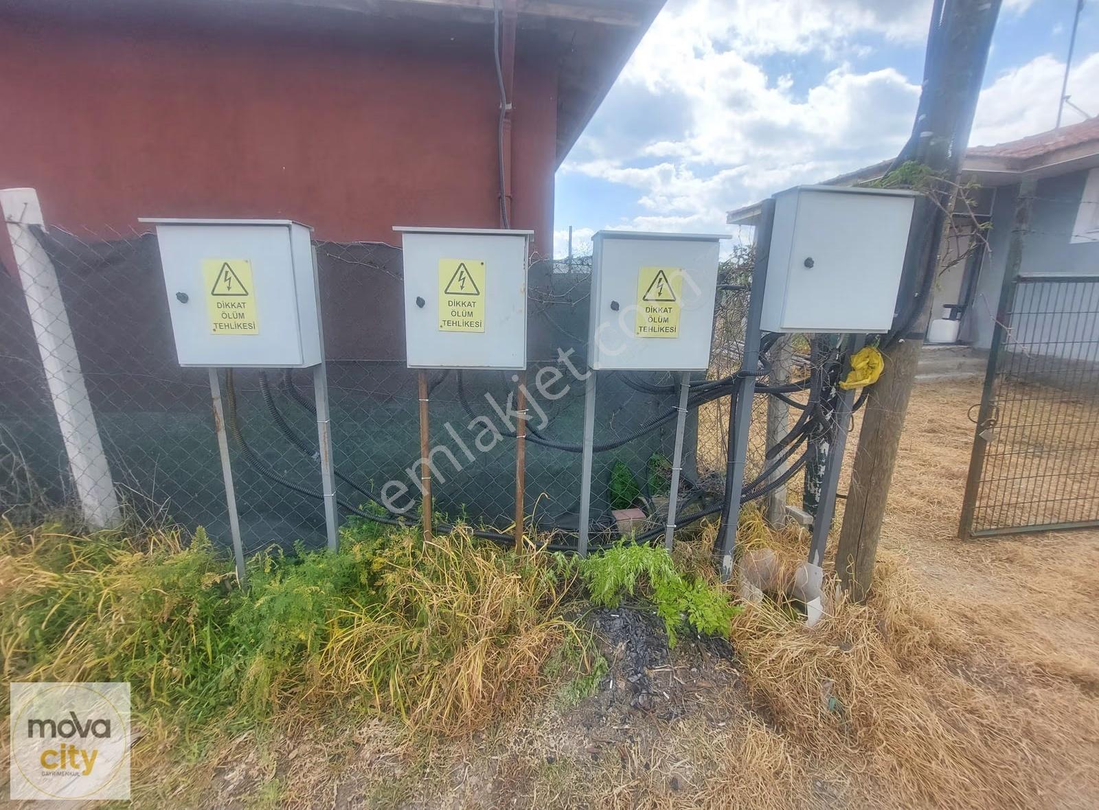 Tatar Köyü Yolu Üzeri 57m2 Evi Bulunan Satılık Hobi Bahçesi - Görsel 5