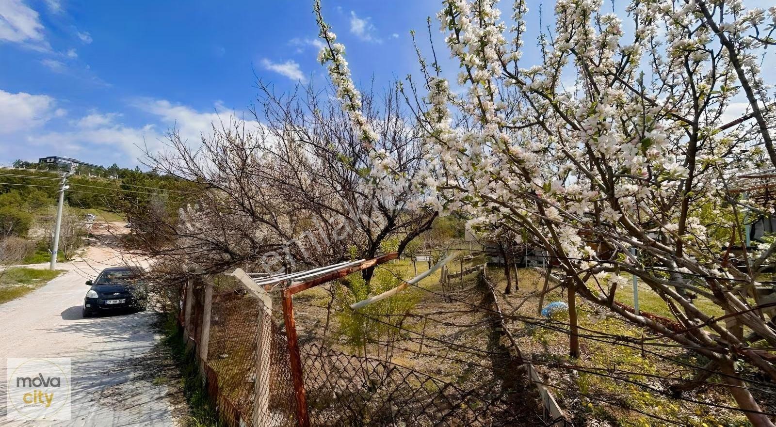 Ayarık Mevkisinde Yol Cepheli 247 M2 Satılık Villa Arsası - Görsel 15