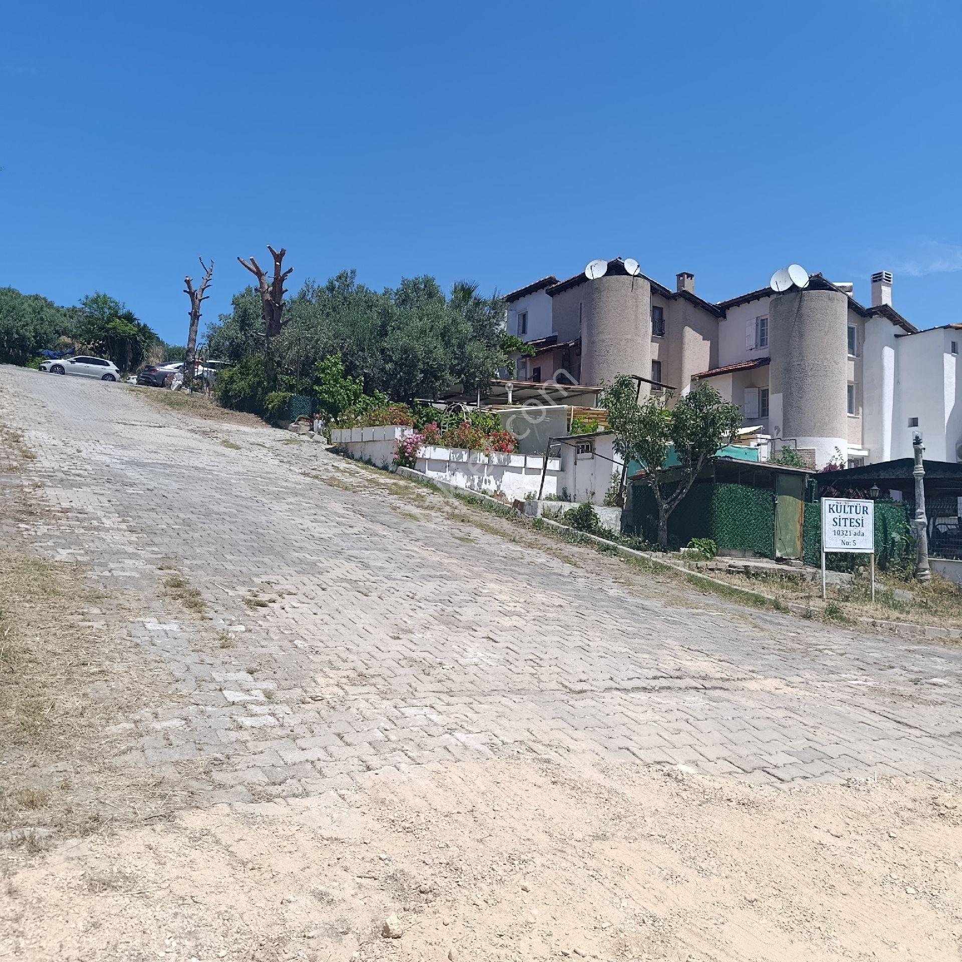 Foça Mustafa Kemal Atatürk Mahallesinde Bulunan İmar Sınırları İçinde Satılık Zeytinlik - Görsel 26