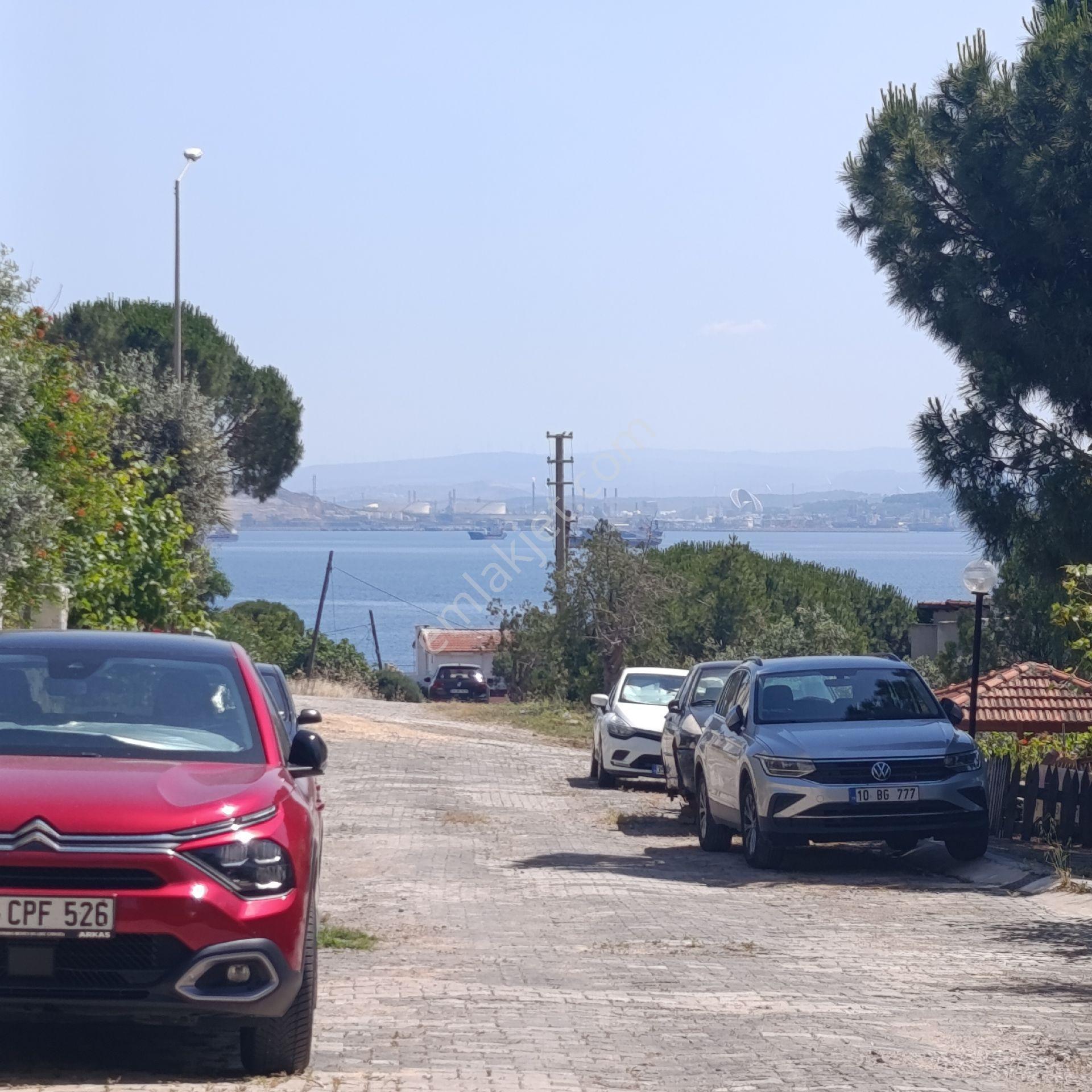 Foça Mustafa Kemal Atatürk Mahallesinde Bulunan İmar Sınırları İçinde Satılık Zeytinlik - Görsel 6