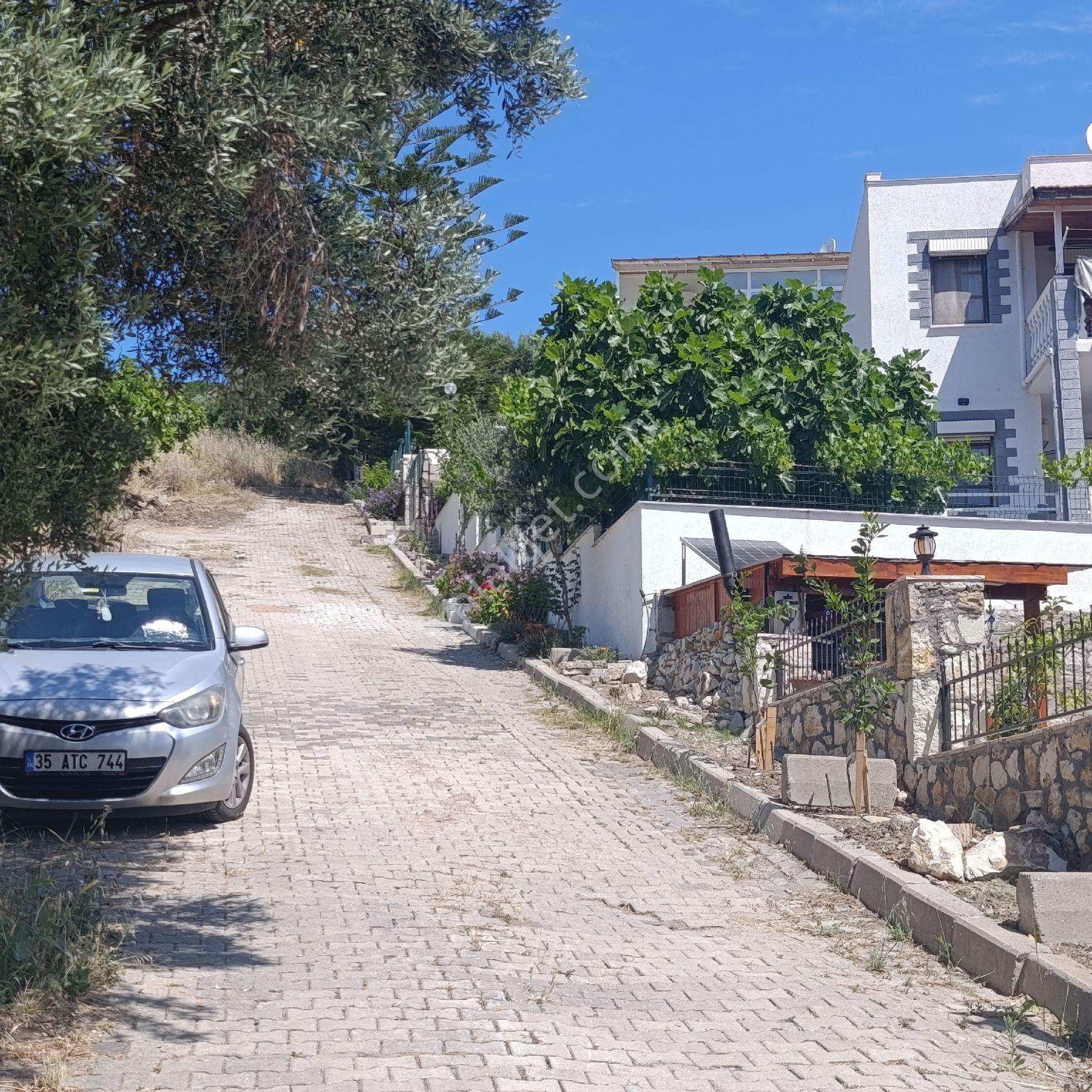 Foça Mustafa Kemal Atatürk Mahallesinde Bulunan İmar Sınırları İçinde Satılık Zeytinlik - Görsel 4
