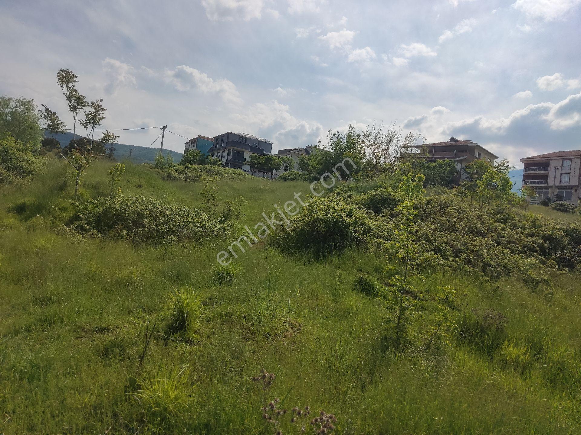 İne Göl Yeniceköy De 3 Kat İmarlı Harika Arsa - Görsel 4