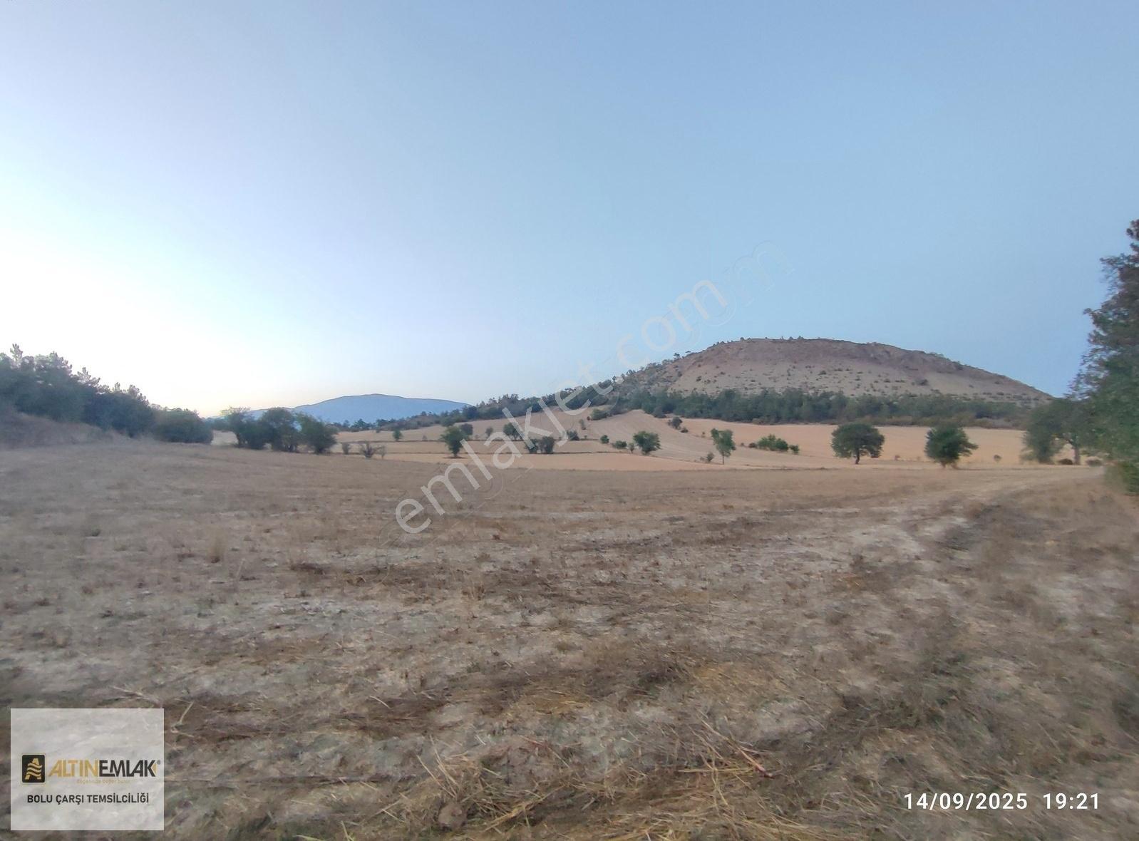 Bolu,ankara-nallıhan,sakarya-akyazı Kavşağı 1,5 Km Satılık Tarla - Görsel 19