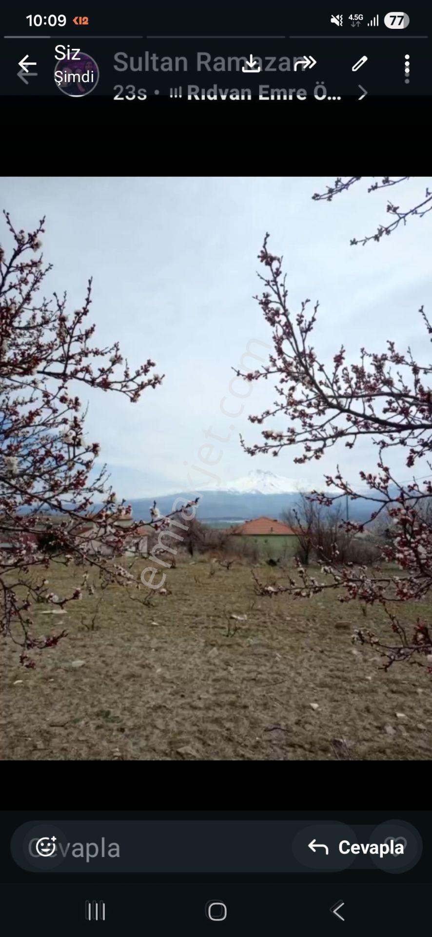 İncesu Örenşehir Küçükkum Mevki Sahibinden Satılık Bağ - Görsel 4