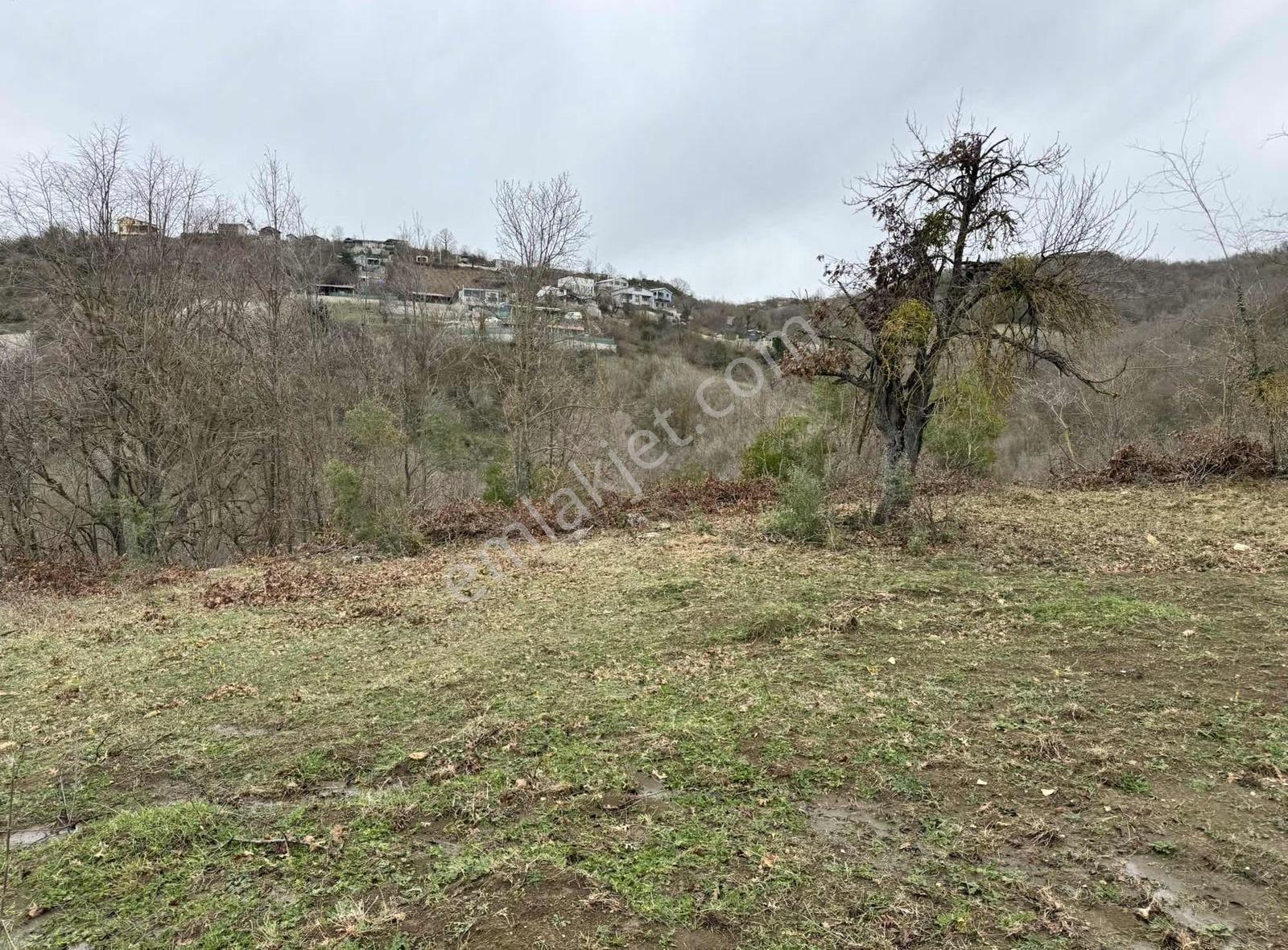 Özdemirden Satılık 672 M2 Bahçe - Görsel 12