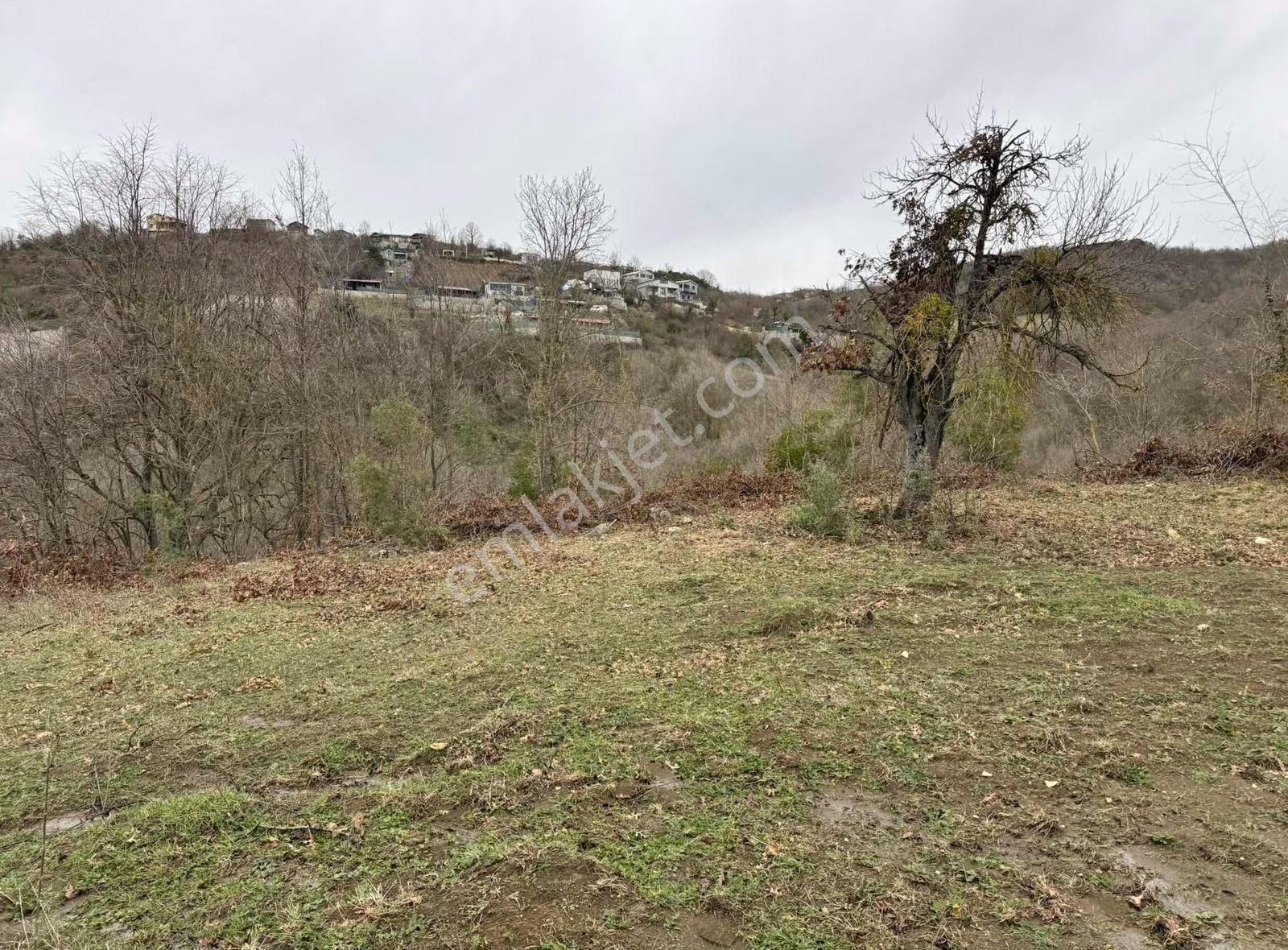 Özdemirden Satılık 672 M2 Bahçe - Görsel 6