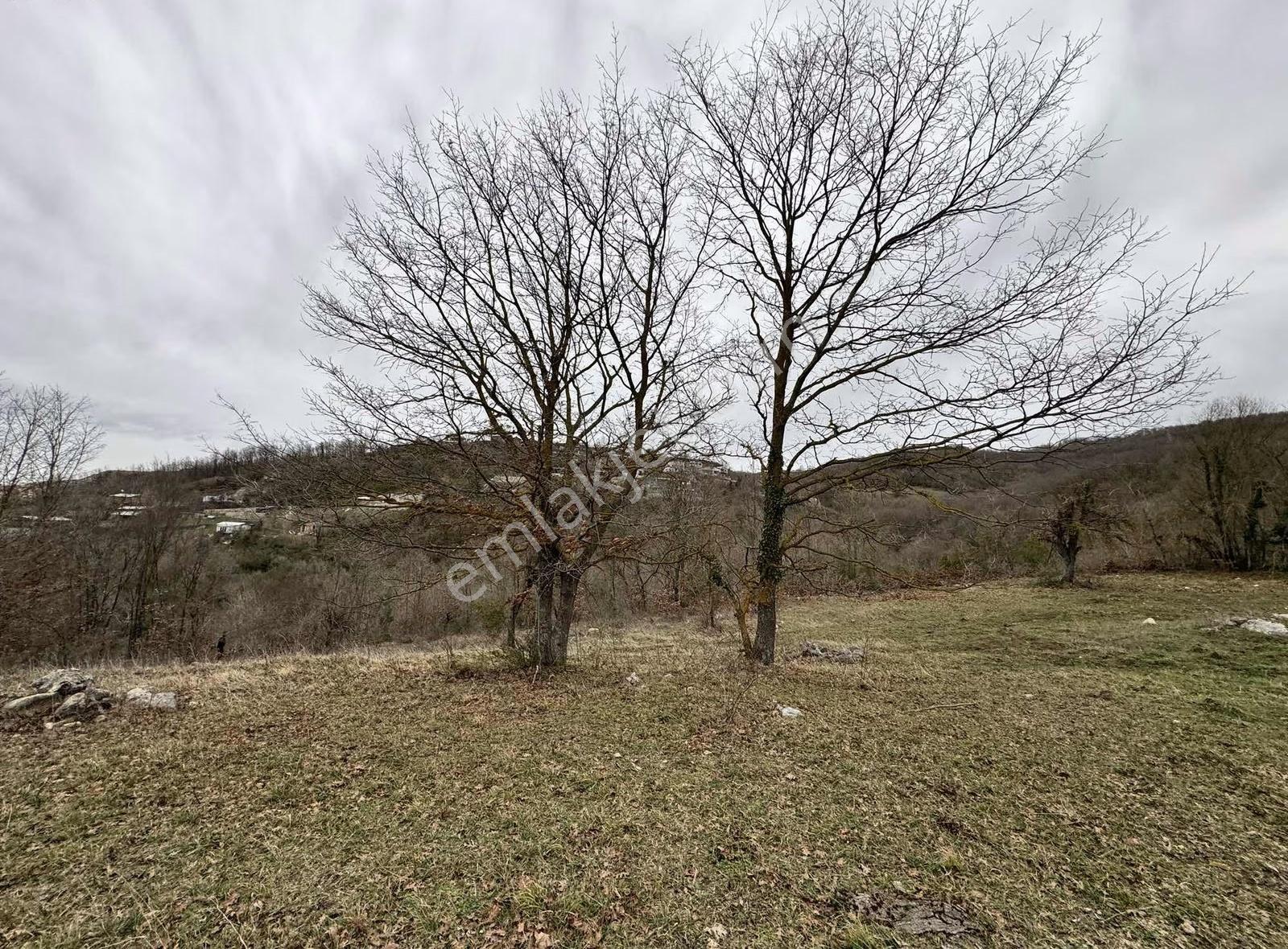 Özdemirden Satılık 672 M2 Bahçe - Görsel 2