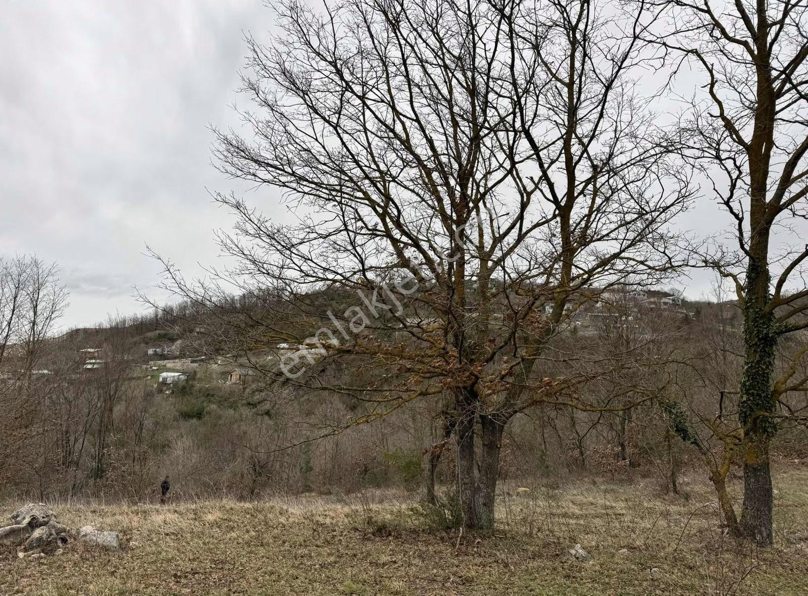 Özdemirden Satılık 672 M2 Bahçe - Görsel 4