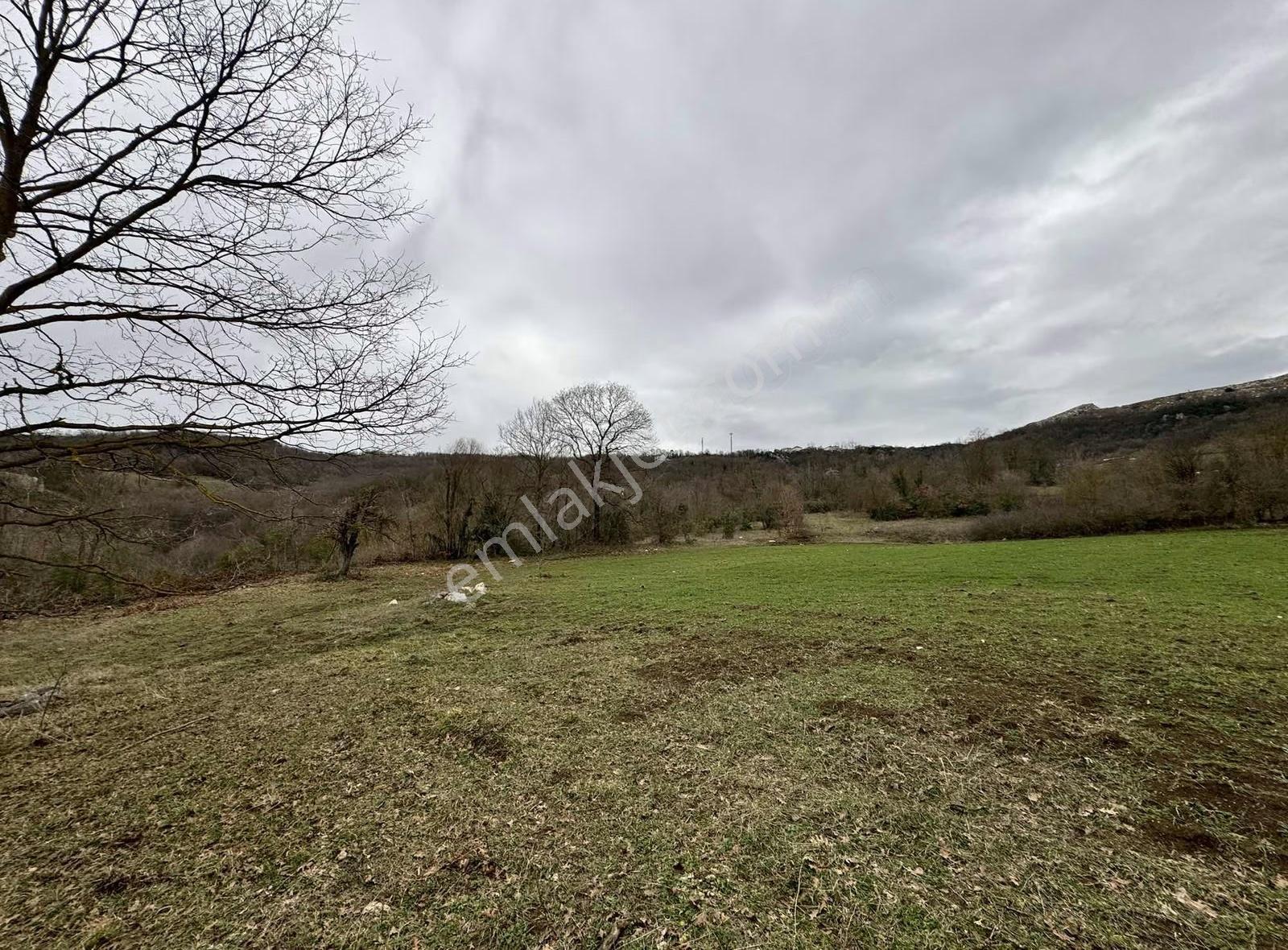 Özdemirden Satılık 672 M2 Bahçe - Görsel 11