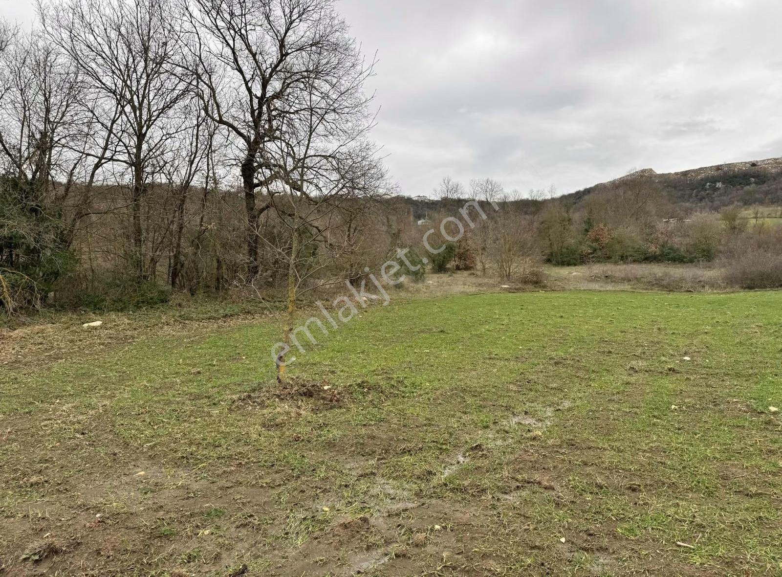 Özdemirden Satılık 672 M2 Bahçe - Görsel 13