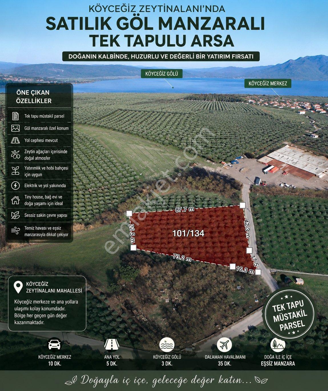 Köyceğiz Zeytin Alanı Göl Manzaralı Eşsiz Arsa