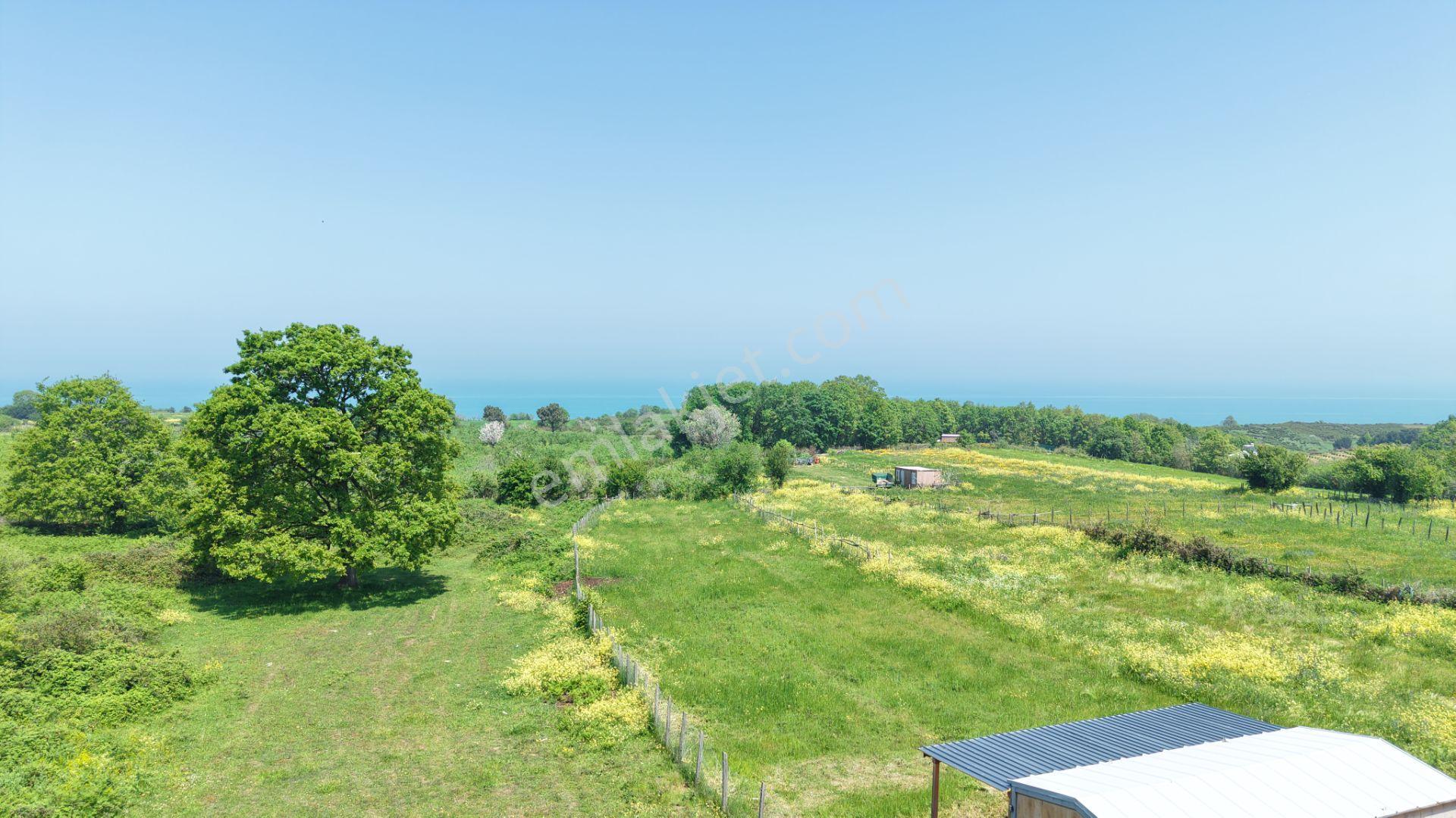 Deniz Manzaralı İmar Planı İçinde Elektriği Suyu Bağlı 2520 M2 - Görsel 25