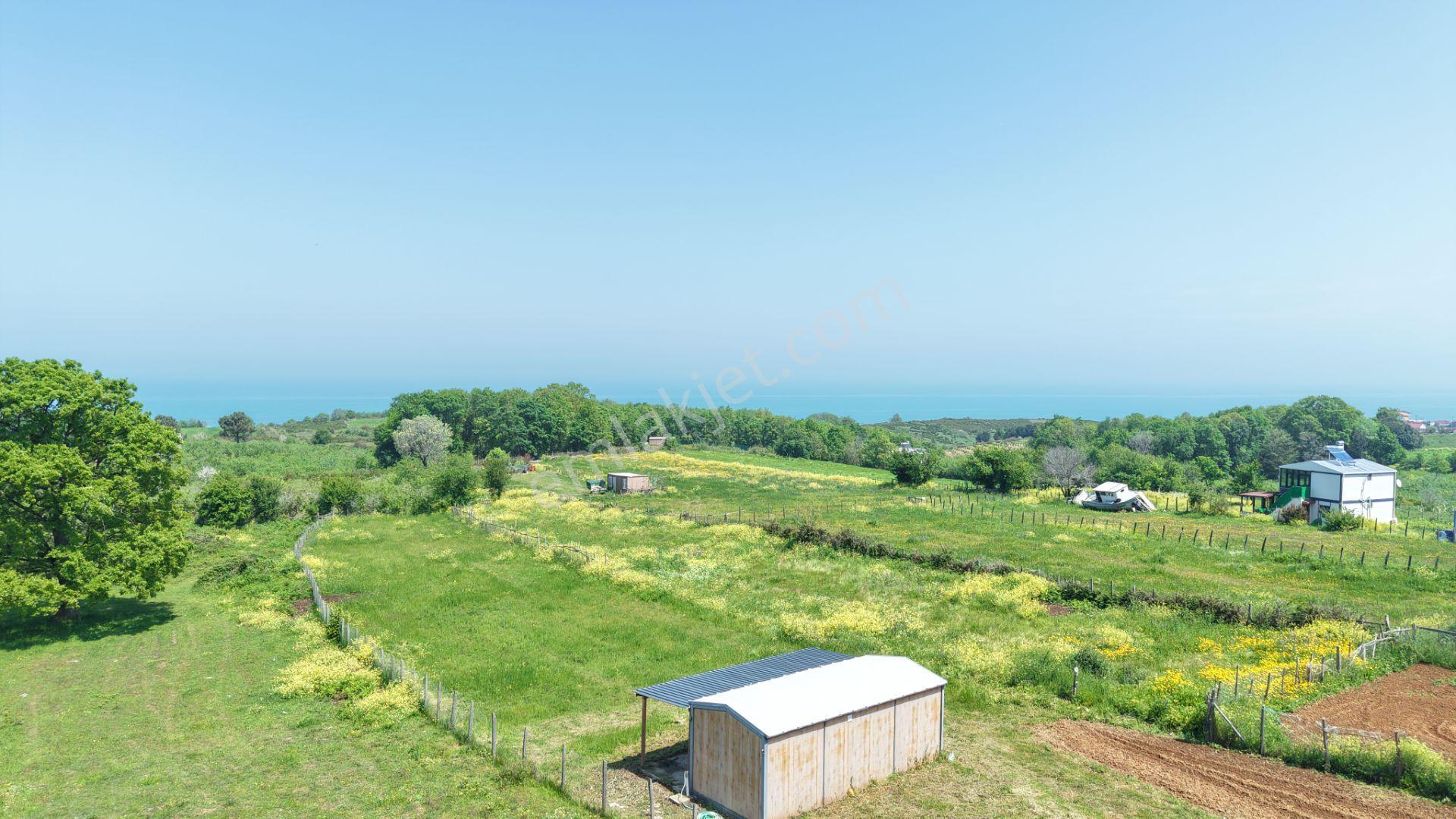 Deniz Manzaralı İmar Planı İçinde Elektriği Suyu Bağlı 2520 M2 - Görsel 24
