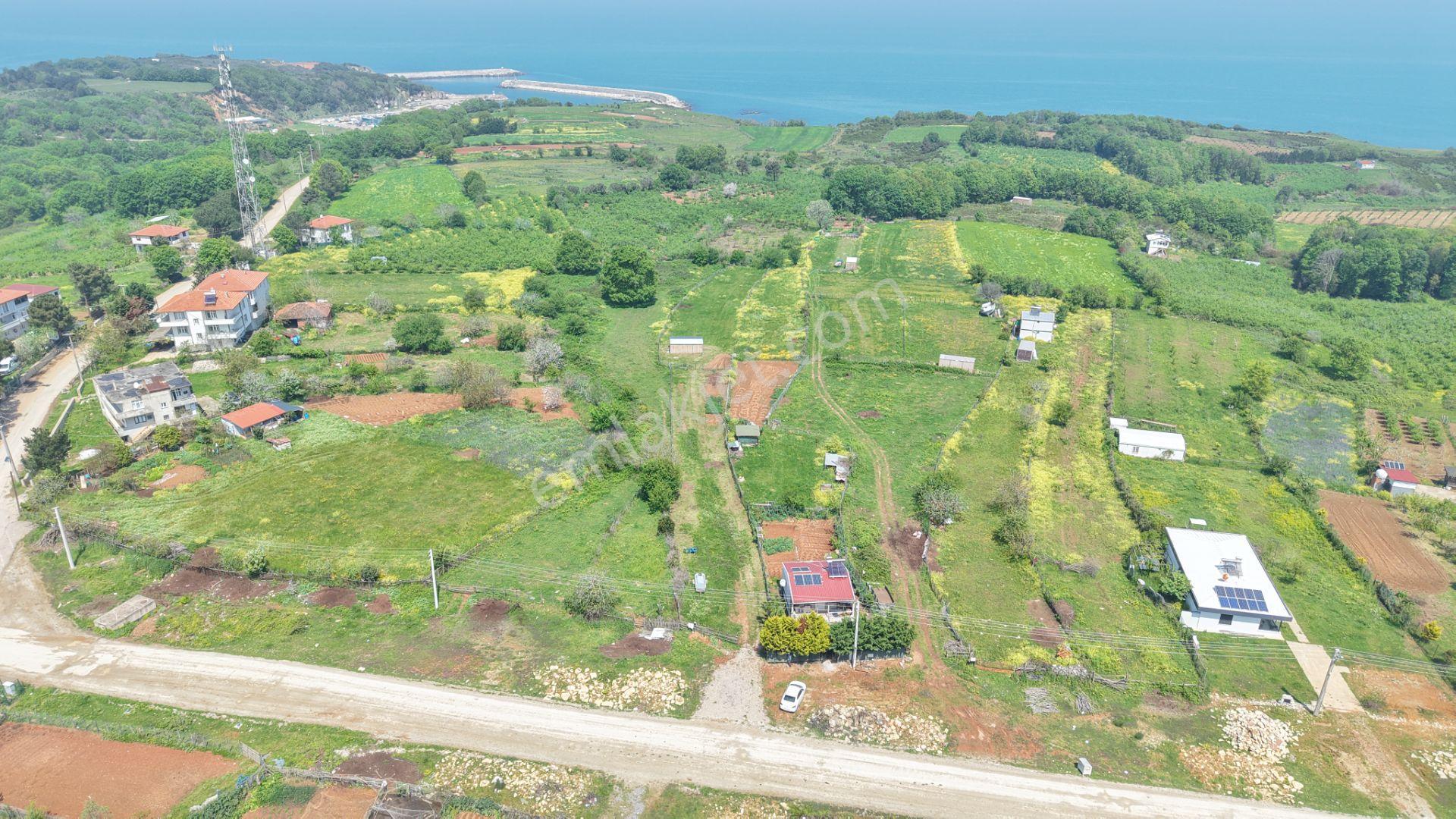 Deniz Manzaralı İmar Planı İçinde Elektriği Suyu Bağlı 2520 M2 - Görsel 21