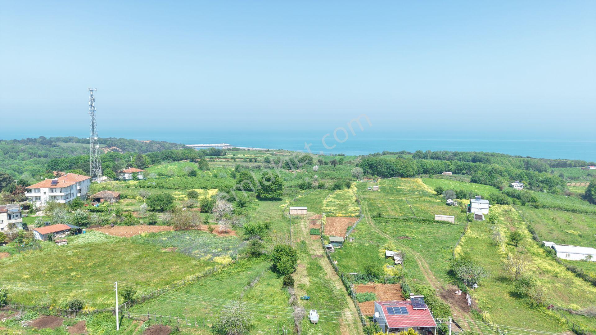 Deniz Manzaralı İmar Planı İçinde Elektriği Suyu Bağlı 2520 M2 - Görsel 8