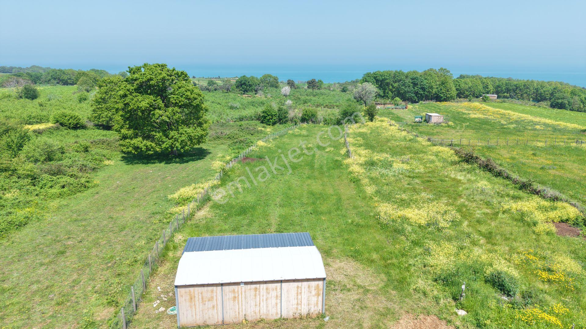 Deniz Manzaralı İmar Planı İçinde Elektriği Suyu Bağlı 2520 M2 - Görsel 15