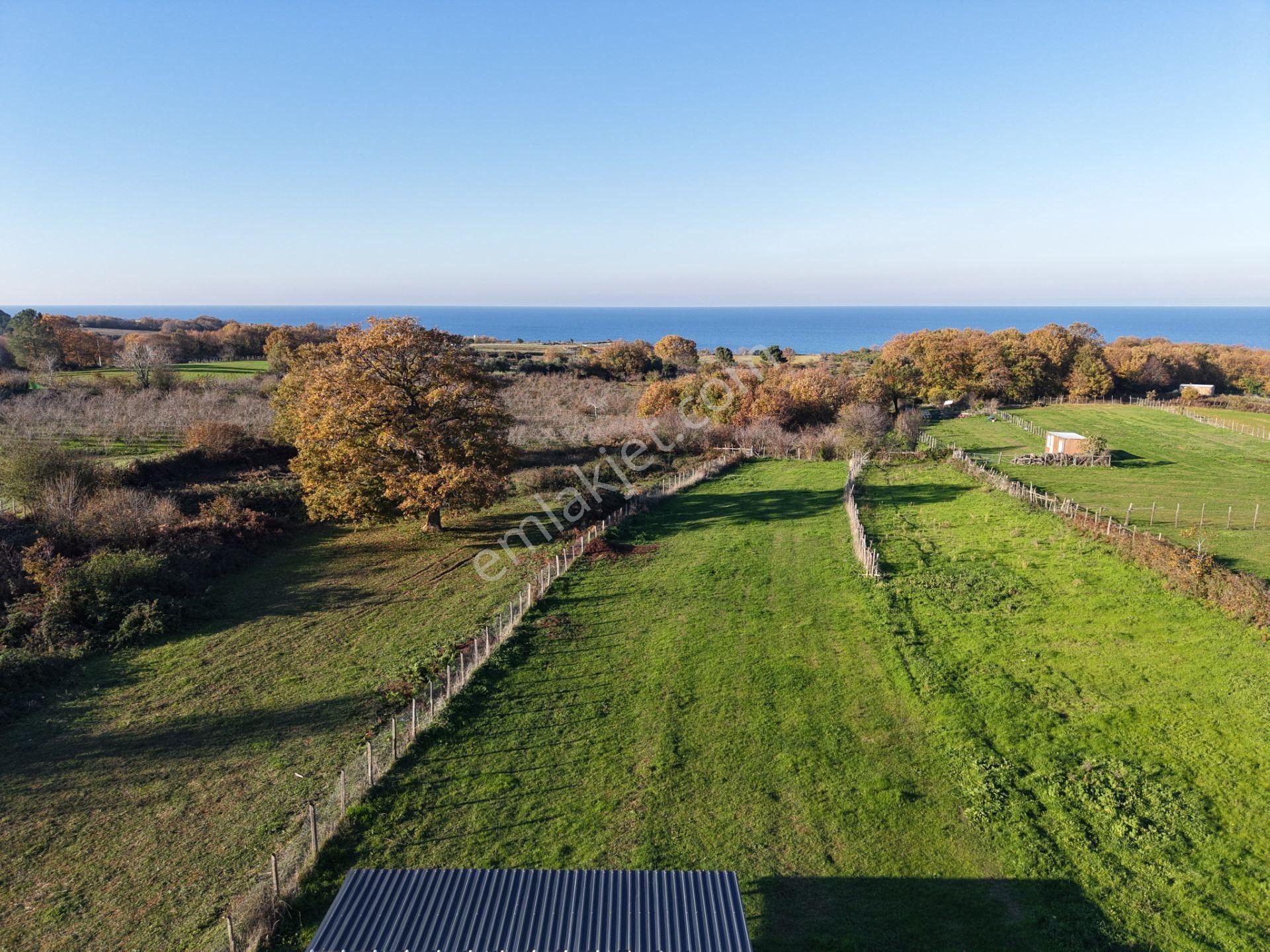 Deniz Manzaralı İmar Planı İçinde Elektriği Suyu Bağlı 2520 M2 - Görsel 6