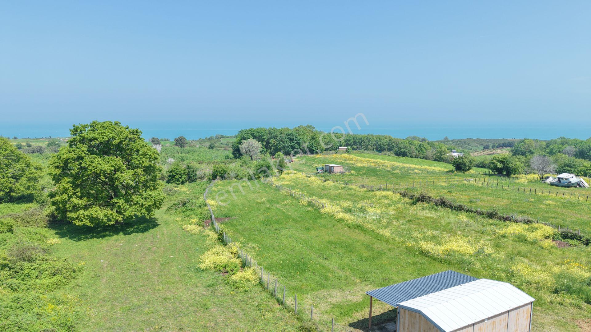 Deniz Manzaralı İmar Planı İçinde Elektriği Suyu Bağlı 2520 M2 - Görsel 16