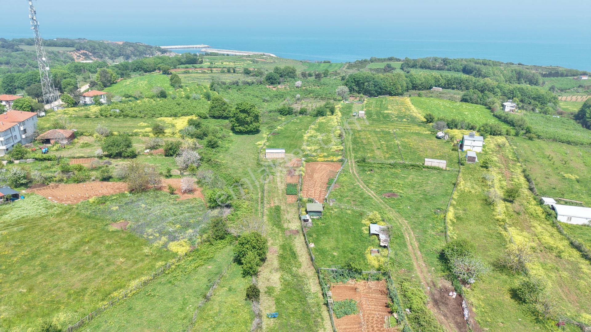 Deniz Manzaralı İmar Planı İçinde Elektriği Suyu Bağlı 2520 M2 - Görsel 20