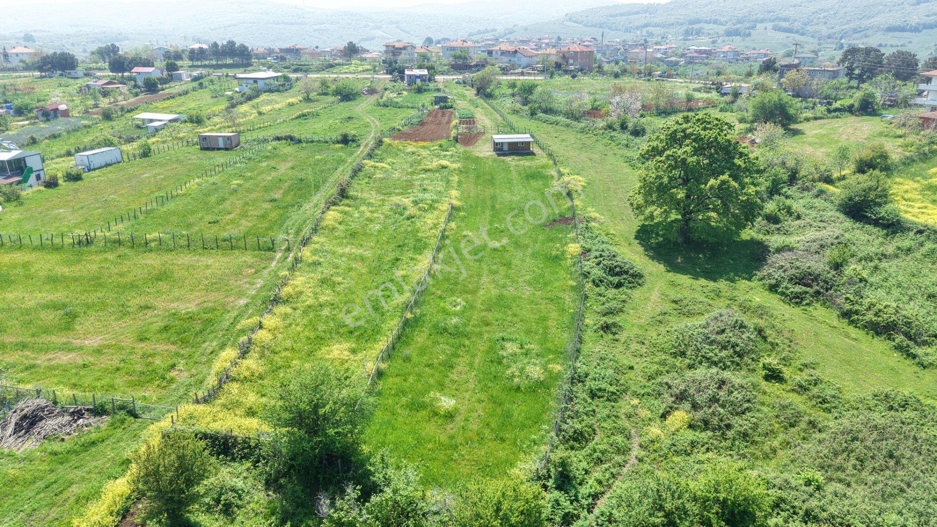 Deniz Manzaralı İmar Planı İçinde Elektriği Suyu Bağlı 2520 M2 - Görsel 18