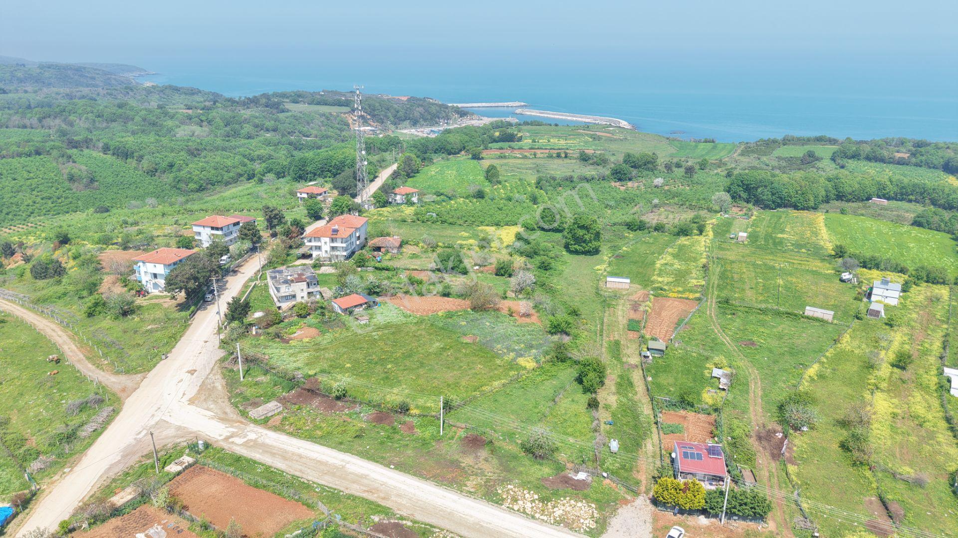 Deniz Manzaralı İmar Planı İçinde Elektriği Suyu Bağlı 2520 M2 - Görsel 22