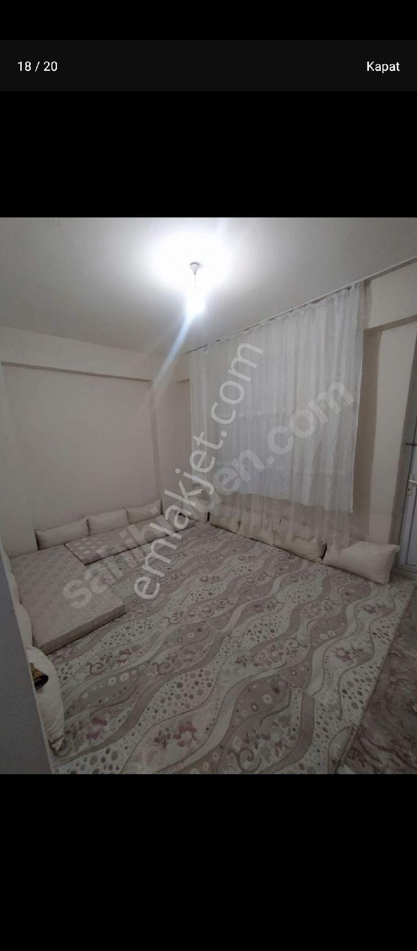: çift cepheli daire - Görsel 20