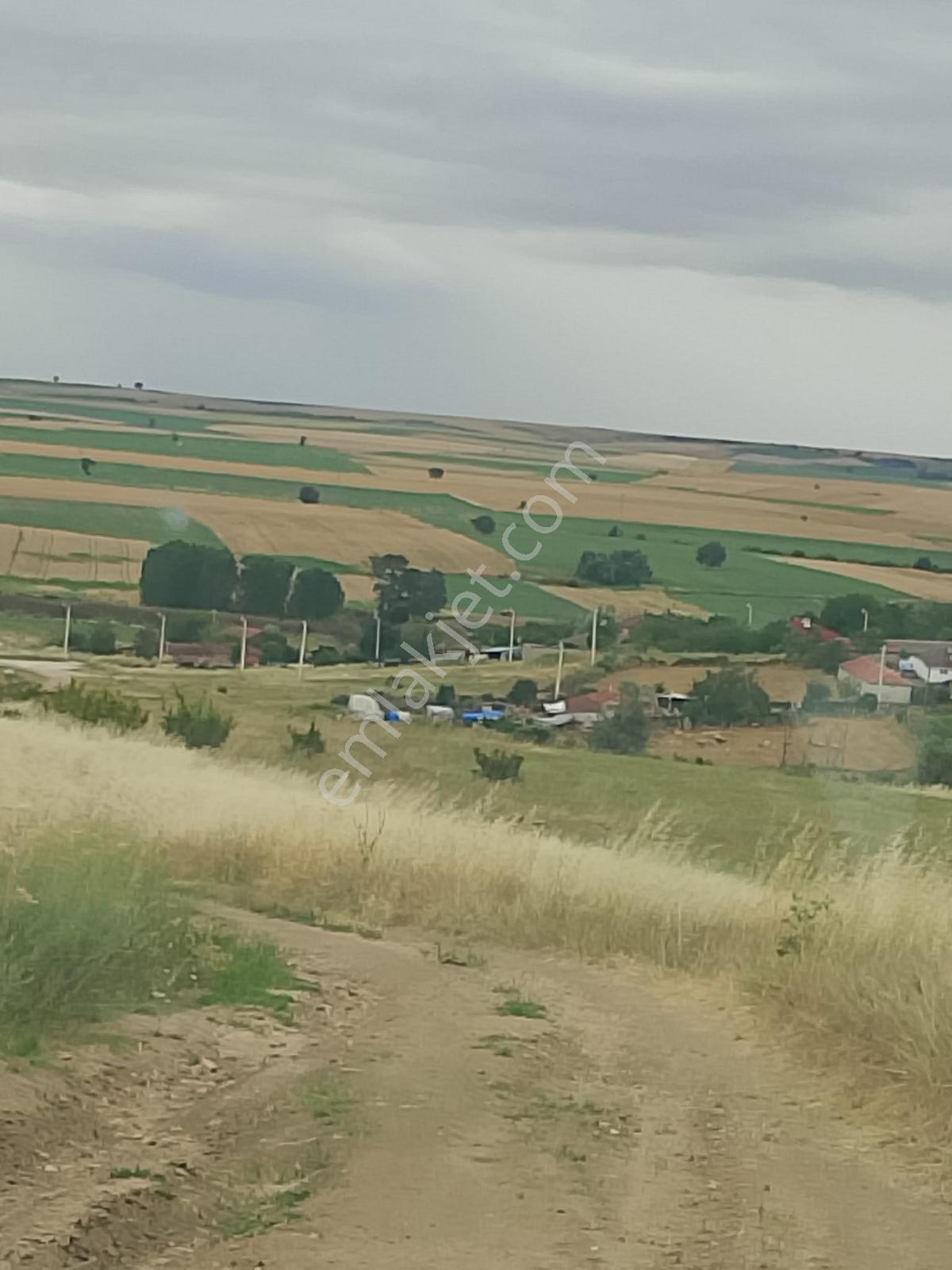 Merkez Tekkeşeyhler'de Duble Yola 2 Dk, Yerleşim Dibi, (acill) - Görsel 27