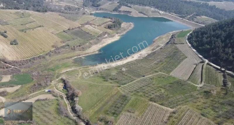 Sakarya Geyve Sekiharman Köyünde Göl Kenarı Bahçe - Görsel 4