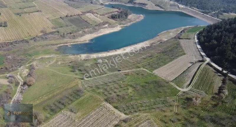 Sakarya Geyve Sekiharman Köyünde Göl Kenarı Bahçe - Görsel 5