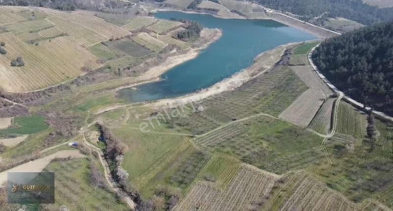 Sakarya Geyve Sekiharman Köyünde Göl Kenarı Bahçe - Görsel 8