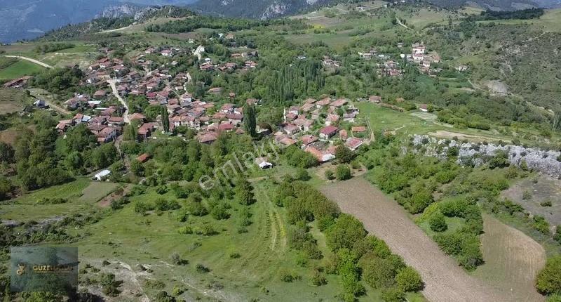 Bilecik Osmaneli Belenalan'da Kiraz Bahçesi - Görsel 2