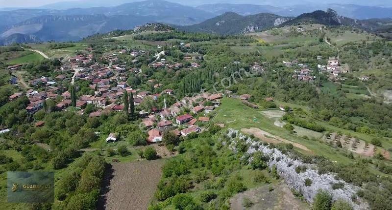 Bilecik Osmaneli Belenalan'da Kiraz Bahçesi - Görsel 18
