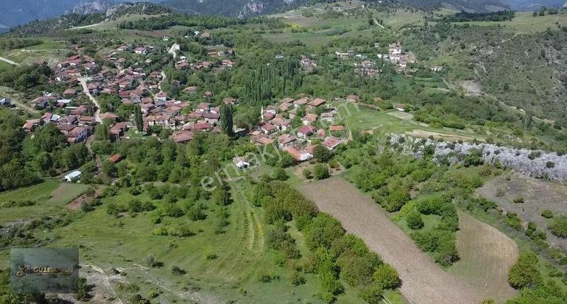Bilecik Osmaneli Belenalan'da Kiraz Bahçesi - Görsel 4