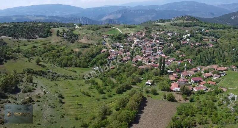 Bilecik Osmaneli Belenalan'da Kiraz Bahçesi - Görsel 9