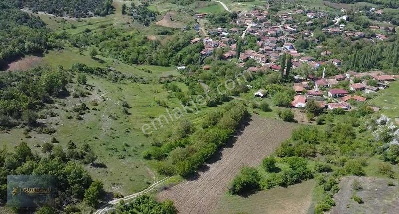 Bilecik Osmaneli Belenalan'da Kiraz Bahçesi - Görsel 13