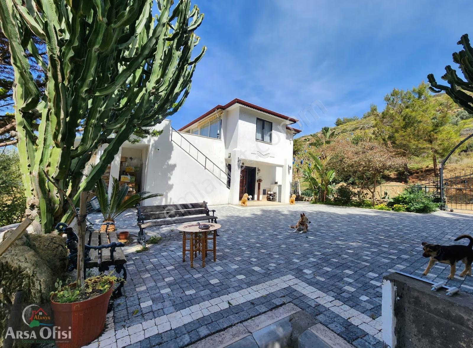 Alanya Yeşilöz De Satılık 2000 M2 Deniz Manzaralı Arsa - Görsel 16