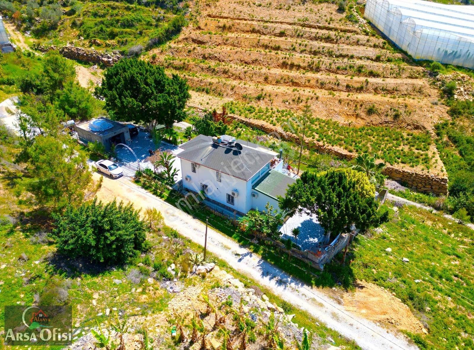 Alanya Yeşilöz De Satılık 2000 M2 Deniz Manzaralı Arsa - Görsel 9