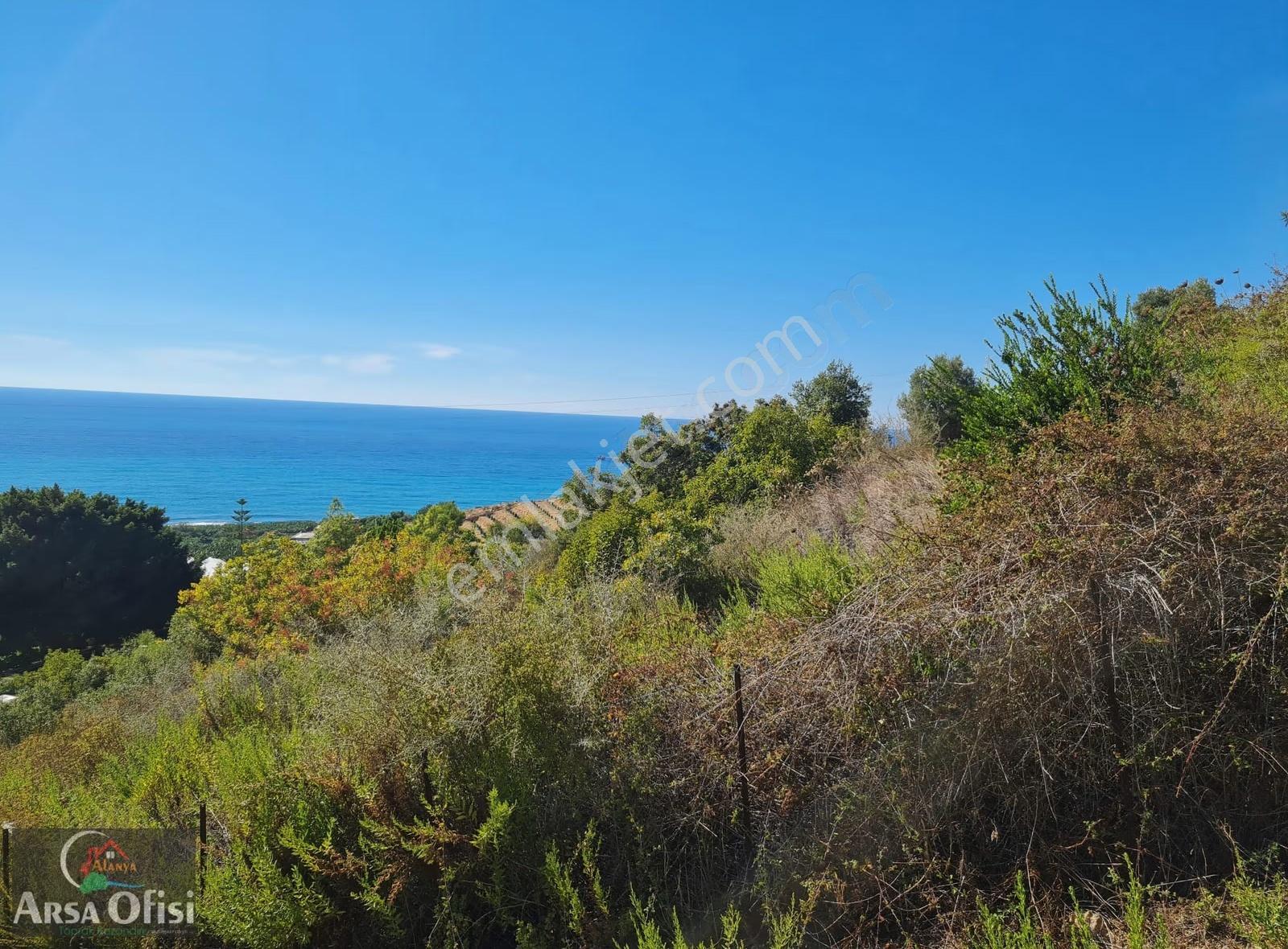 Alanya Yeşilöz De Satılık 2000 M2 Deniz Manzaralı Arsa - Görsel 13