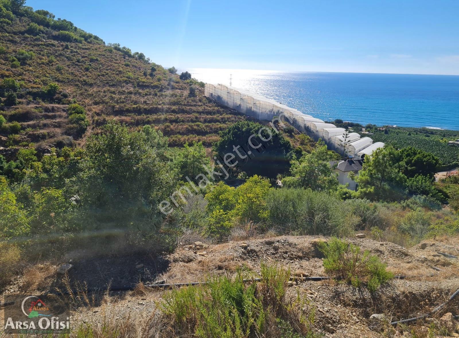 Alanya Yeşilöz De Satılık 2000 M2 Deniz Manzaralı Arsa - Görsel 2