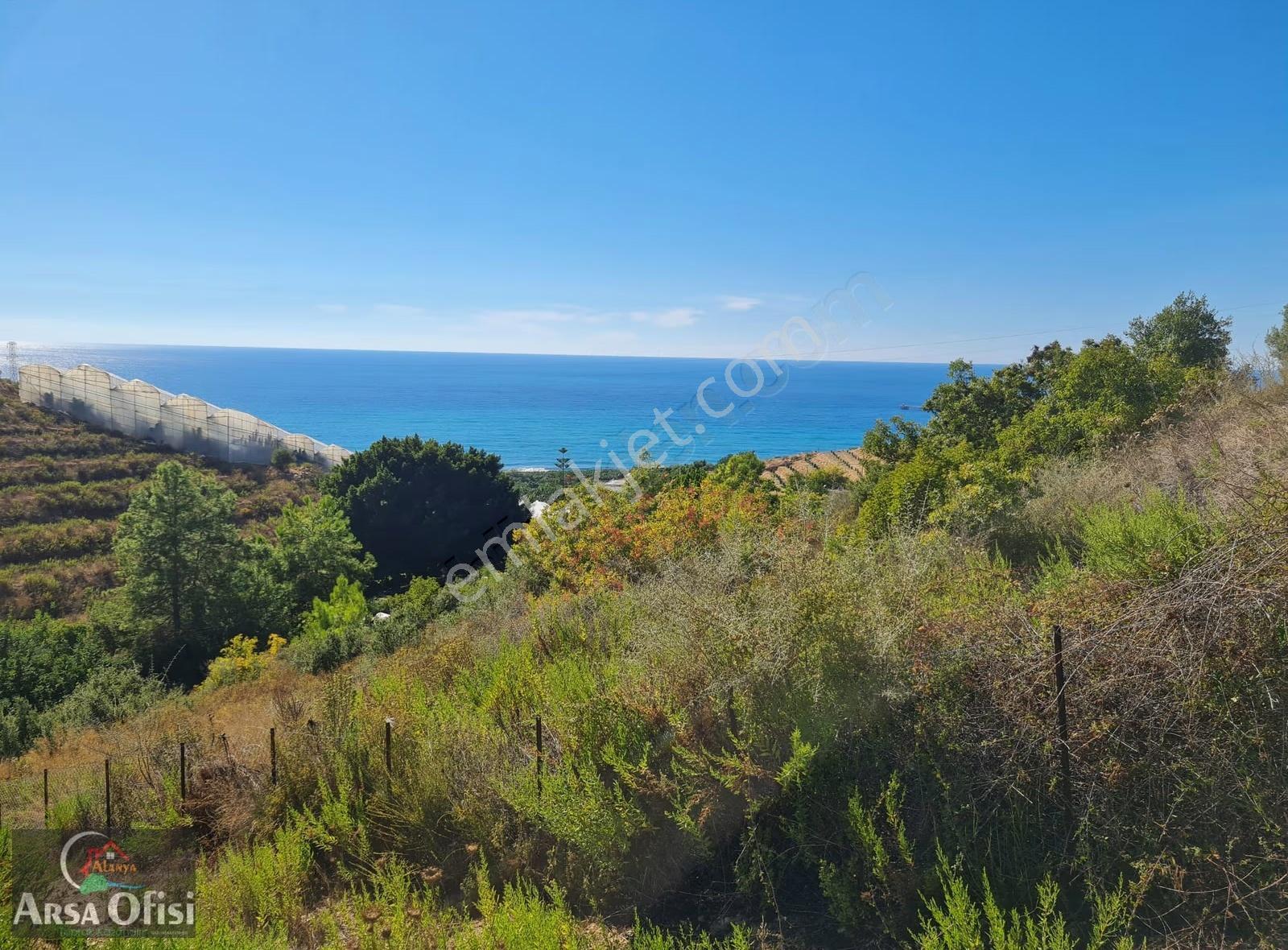 Alanya Yeşilöz De Satılık 2000 M2 Deniz Manzaralı Arsa - Görsel 5