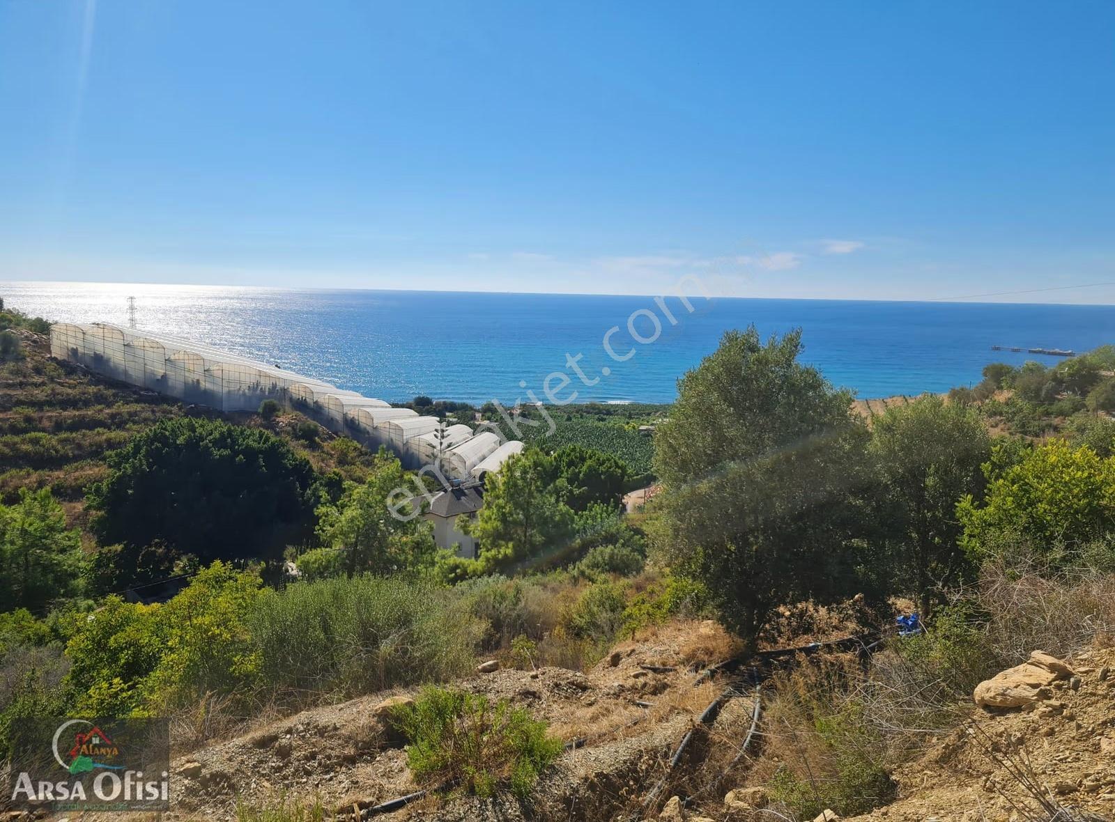 Alanya Yeşilöz De Satılık 2000 M2 Deniz Manzaralı Arsa - Görsel 8