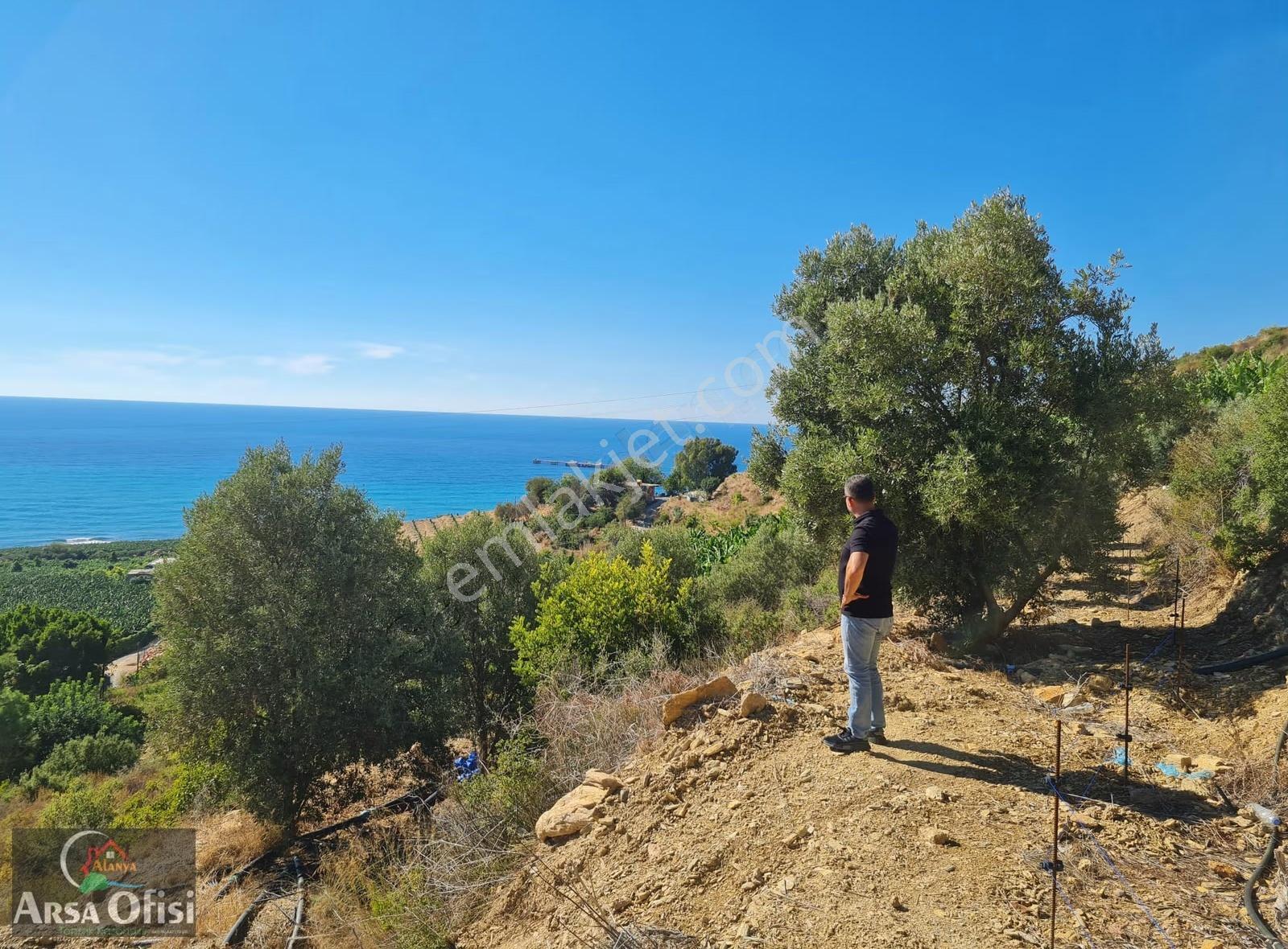 Alanya Yeşilöz De Satılık 2000 M2 Deniz Manzaralı Arsa - Görsel 6