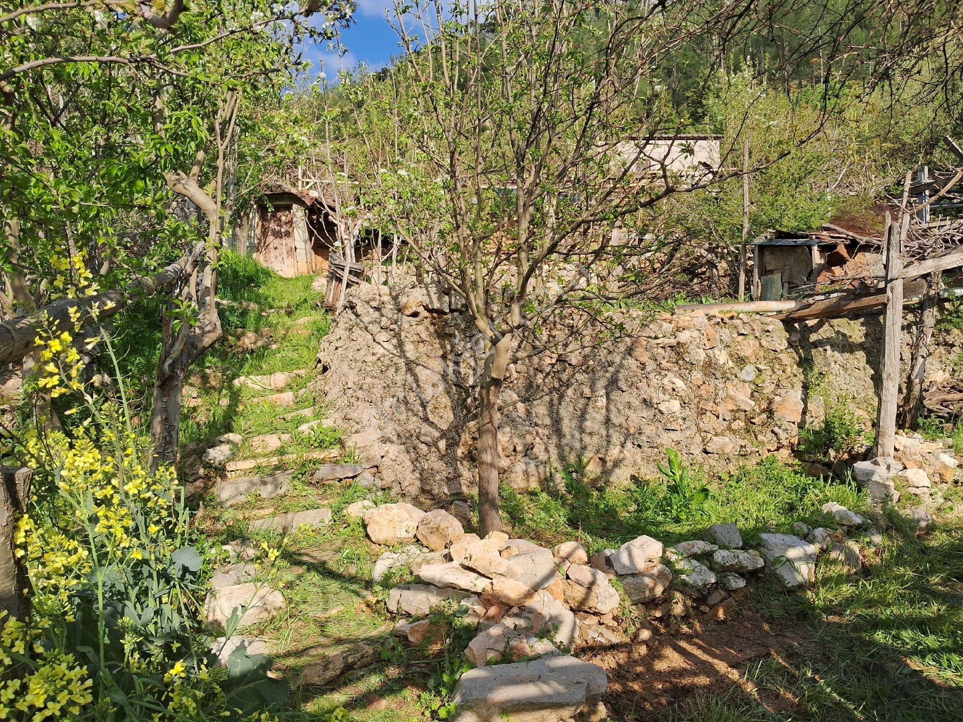 Silifke Gökbelen Mahallesi Alatopaktaşta Satılık Bahçeli Müstakil Ev - Görsel 12