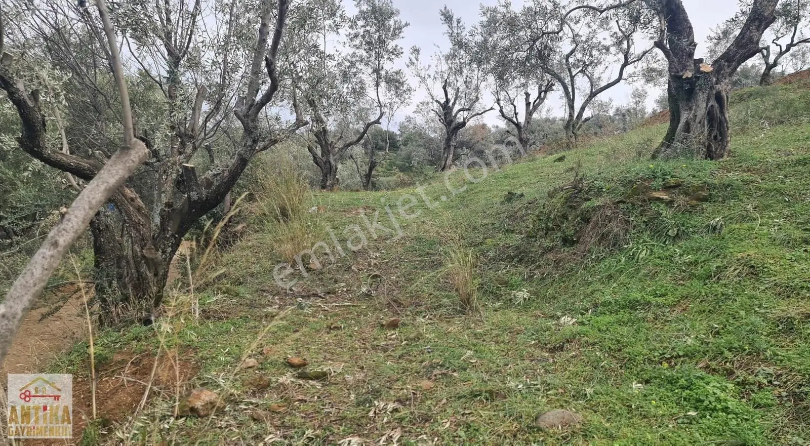 Antika Gayrimenkul'den Bademlide İmarlı Satılık Arsa - Görsel 2