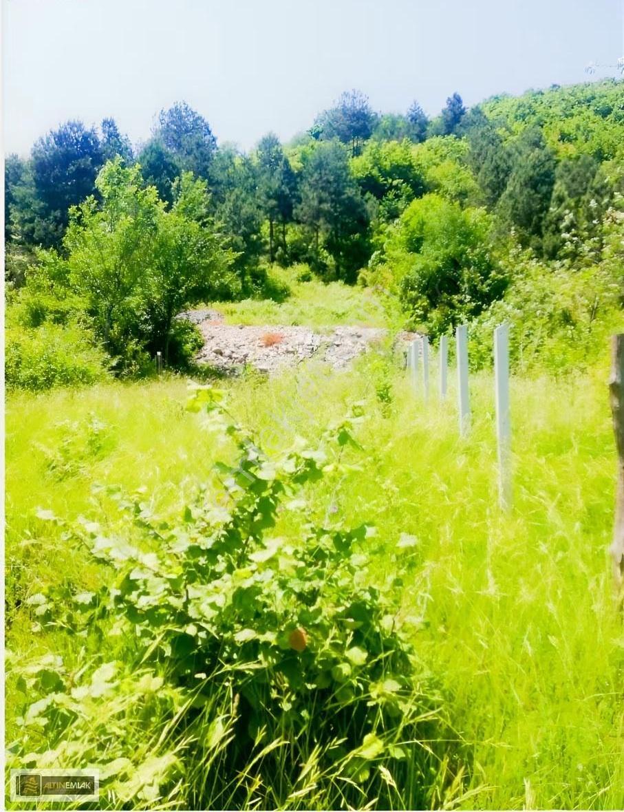 Kastamonu-cide İlyasbey Köyünde Yatıımlık Satılık Parsel - Görsel 4